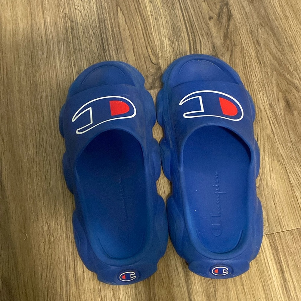 I’m selling blue champion slides